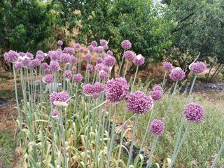 유영옥님의 자유주제 · 자유게시판 작성글 사진