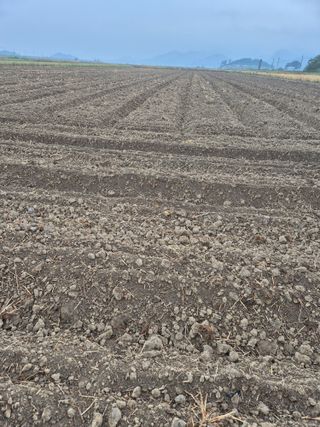 김영진(전남영광)님의 자유주제 · 자유게시판 작성글 사진