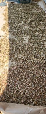 팜모닝 자유주제·자유게시판 게시글 이미지