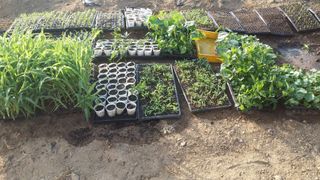 이정민님의 자유주제 · 자유게시판 작성글 사진