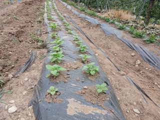 알 수 없음님의 자유주제 · 자유게시판 작성글 사진