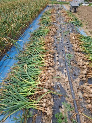 문영식님의 자유주제 · 자유게시판 작성글 사진