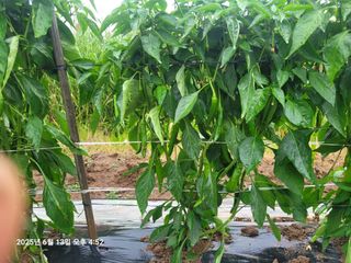 이동훈님의 자유주제 · 자유게시판 작성글 사진