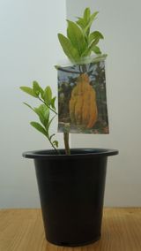 팜모닝 자유주제·자유게시판 게시글 이미지