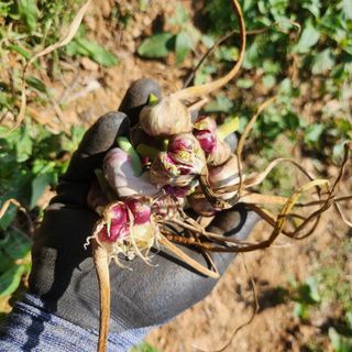 조한솔님의 작성글 사진