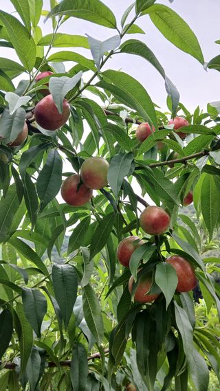 대지털님의 자유주제 · 자유게시판 작성글 사진