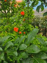 팜모닝 자유주제·자유게시판 게시글 이미지