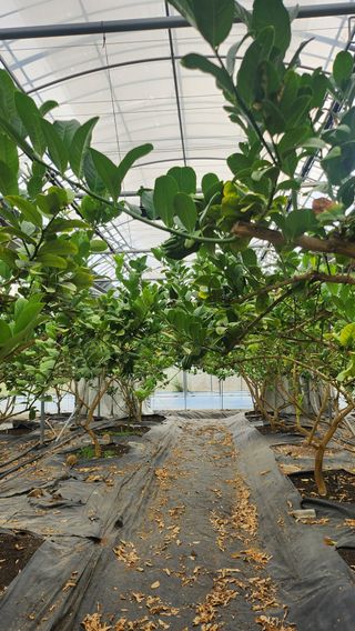 정미리님의 자유주제 · 자유게시판 작성글 사진