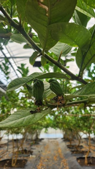 정미리님의 자유주제 · 자유게시판 작성글 사진