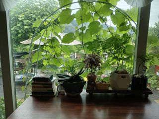 금동이네님의 자유주제 · 자유게시판 작성글 사진