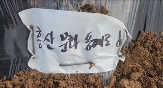 조한솔님의 자유주제 · 자유게시판 작성글 사진