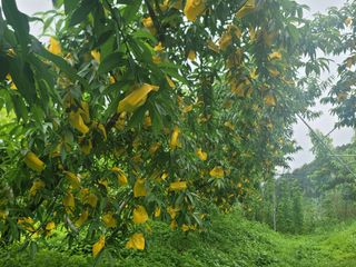 김안식~납작복숭아님의 자유주제 · 자유게시판 작성글 사진