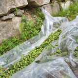 팜모닝 자유주제·사진전 게시글 이미지