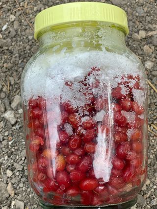 천예별님의 자유주제 · 자유게시판 작성글 사진