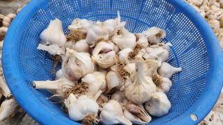 조한솔님의 작성글 사진