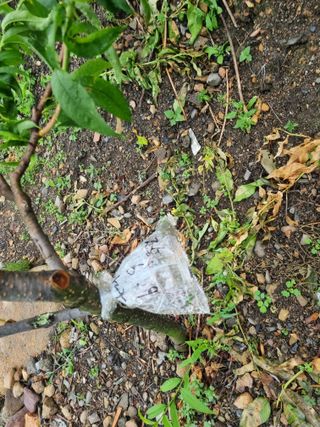 김용대님의 자유주제 · 자유게시판 작성글 사진