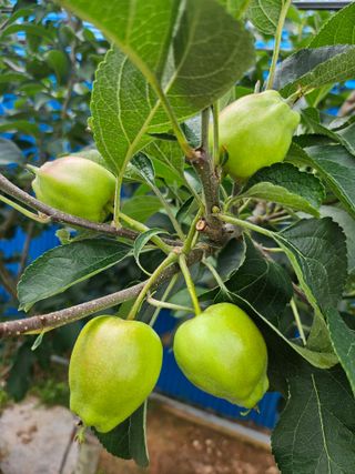 서정훈 님의 자유주제 · 자유게시판 작성글 사진