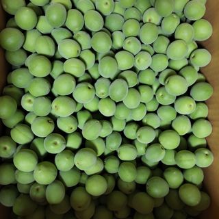 농부쑤니님의 작성글 사진