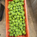 팜모닝 · 게시글 이미지