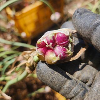 조한솔님의 작성글 사진