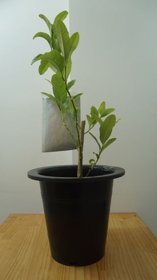 정미리님의 자유주제 · 자유게시판 작성글 사진