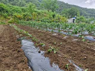 당근한개님의 자유주제 · 자유게시판 작성글 사진
