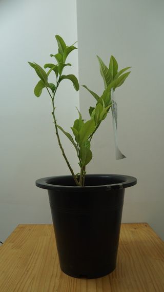 정미리님의 자유주제 · 자유게시판 작성글 사진