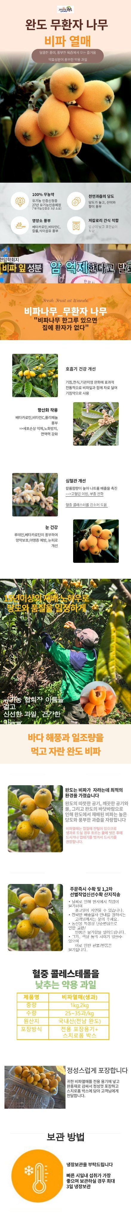 김진국님의 장터 판매 상품 [25년 햇과일 완도 비파열매] 첨부 사진