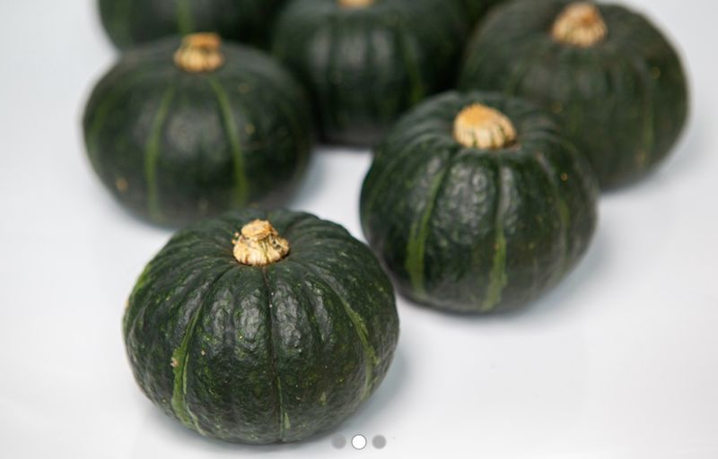 미주팜님의 장터 판매 상품 [제주해풍맞은 미니단호박 특상품5kg ] 첨부 사진