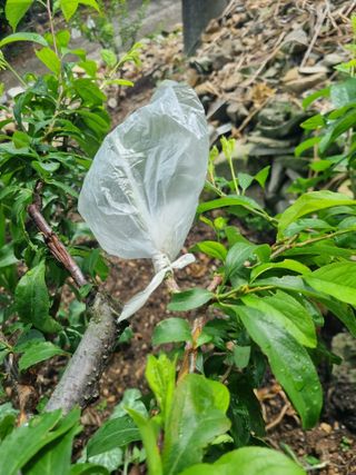 김용대님의 자유주제 · 자유게시판 작성글 사진