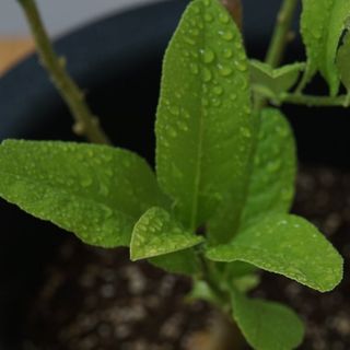 정미리님의 자유주제 · 자유게시판 작성글 사진