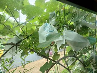 금동이네님의 자유주제 · 자유게시판 작성글 사진