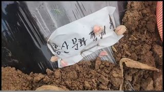 조한솔님의 자유주제 · 자유게시판 작성글 사진