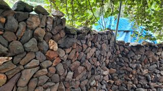 MSG0074님의 자유주제 · 자유게시판 작성글 사진