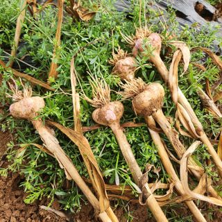 조한솔님의 자유주제 · 자유게시판 작성글 사진