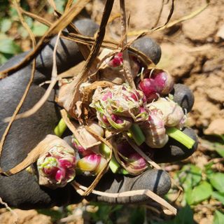 조한솔님의 작성글 사진
