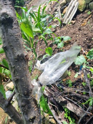 김용대님의 자유주제 · 자유게시판 작성글 사진