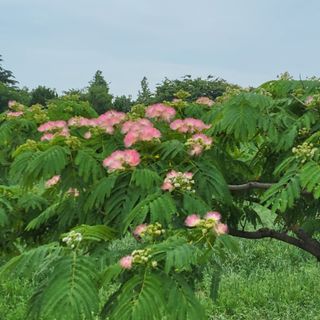 식만동 복합영농님의 자유주제 · 사진전 작성글 사진