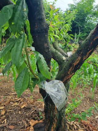 김용대님의 자유주제 · 자유게시판 작성글 사진