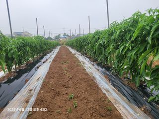 이동훈님의 자유주제 · 자유게시판 작성글 사진