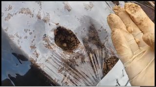 조한솔님의 자유주제 · 자유게시판 작성글 사진