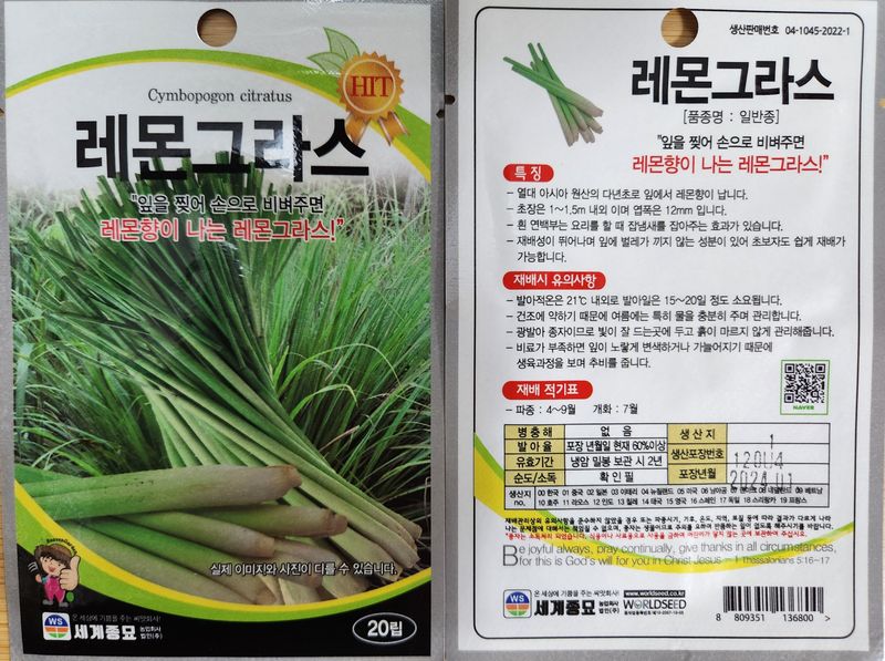 안산제일농약사님의 장터 판매 상품 [레몬그라스 20립] 첨부 사진