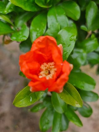 서정훈 님의 자유주제 · 자유게시판 작성글 사진