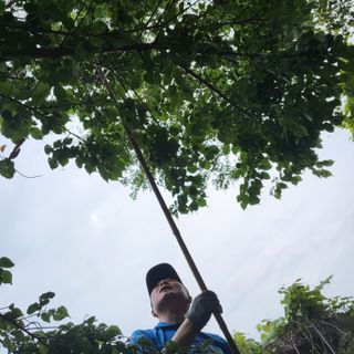식만동 복합영농님의 자유주제 · 사진전 작성글 사진