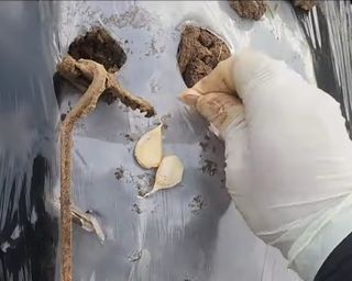 조한솔님의 자유주제 · 자유게시판 작성글 사진