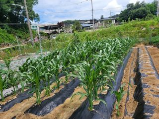 땅땅님의 자유주제 · 자유게시판 작성글 사진