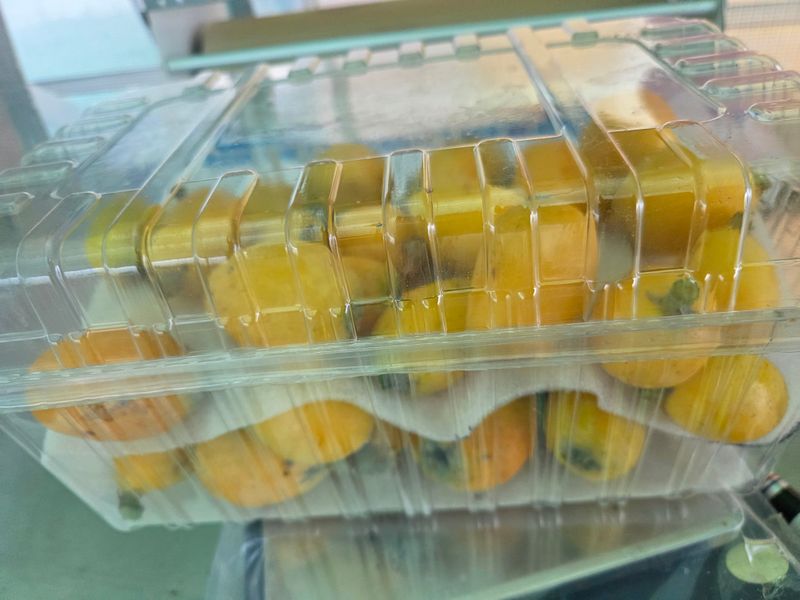 김진국님의 장터 판매 상품 [25년 햇과일 완도 비파열매] 첨부 사진