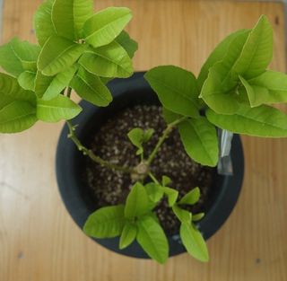 정미리님의 자유주제 · 자유게시판 작성글 사진