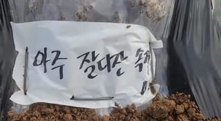 조한솔님의 자유주제 · 자유게시판 작성글 사진