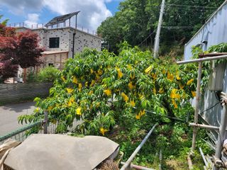 땅땅님의 자유주제 · 자유게시판 작성글 사진